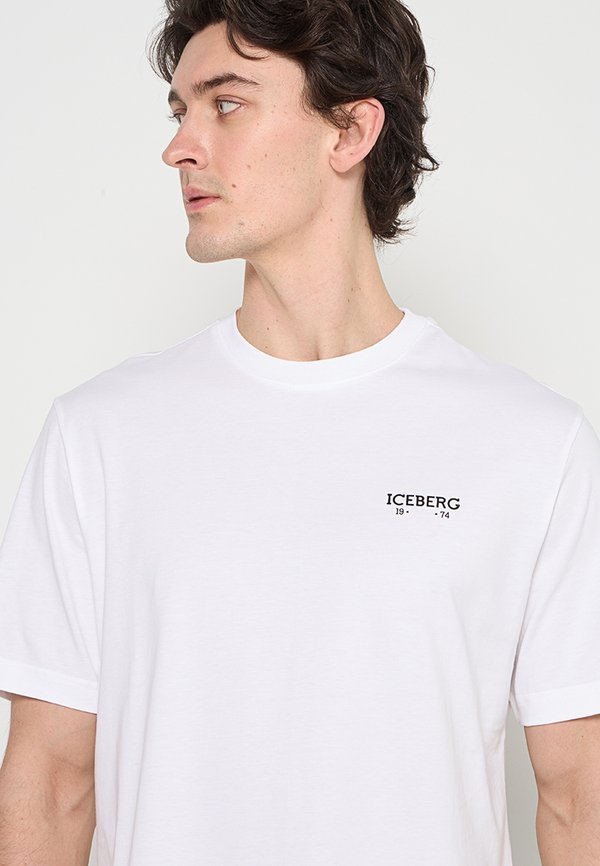 Iceberg