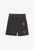 Puma GALATASARAY S.K. 26/27 SHORTS - Club wear - flat dark gray-plum wine