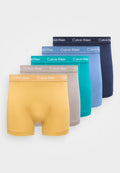 Calvin Klein Underwear 5 PACK - Trunks - driftwood/moonlight blue/fanfare