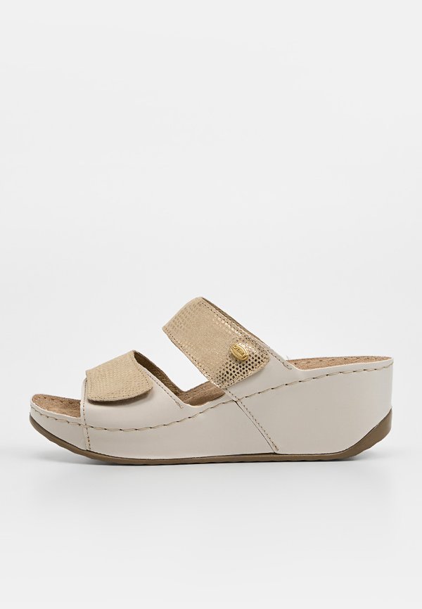 Scholl ABERDEEN