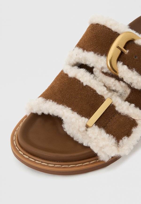 Steve Madden ARCH
