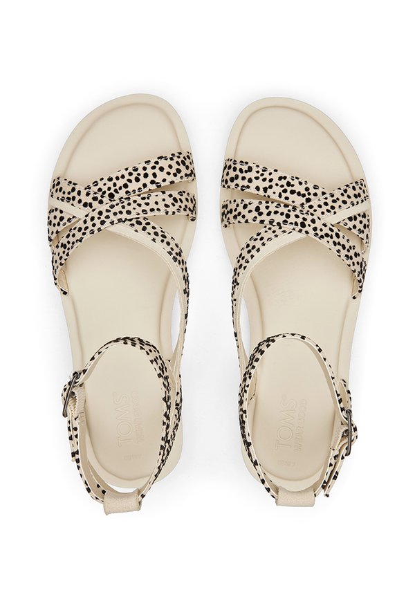TOMS RORY