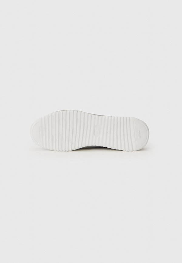 Pollini