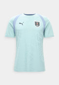 Puma AUSTRIA ÖFB TRAINING  - National team wear - modern mint/filtered ash