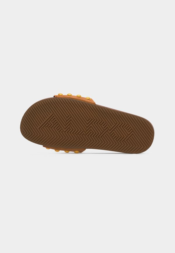 ALDO ROOTED
