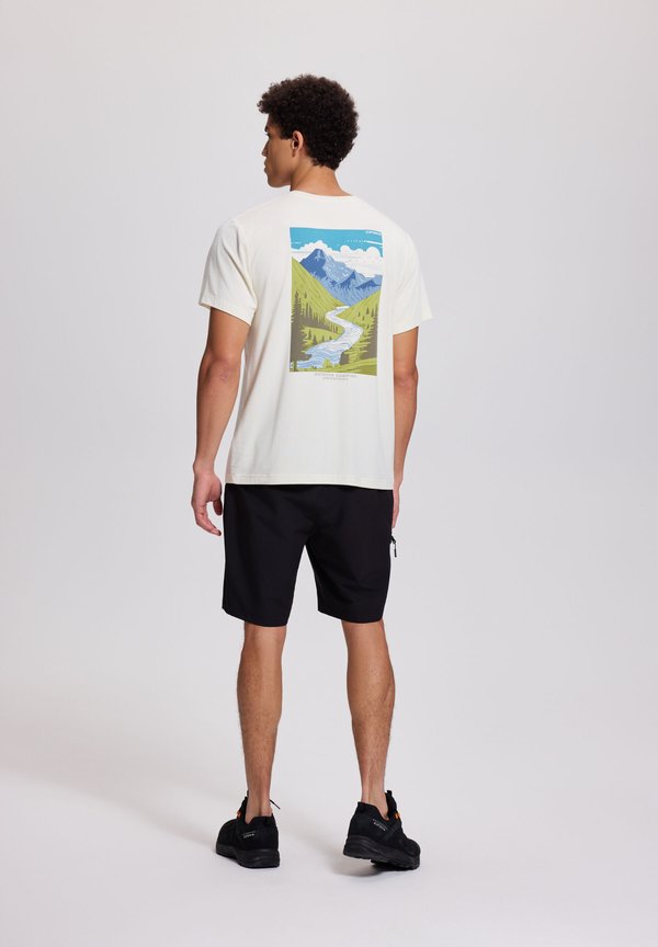 Icepeak MARSING