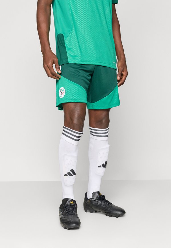 adidas Performance ALGERIA 26 TRAINING - National team wear - team dark green