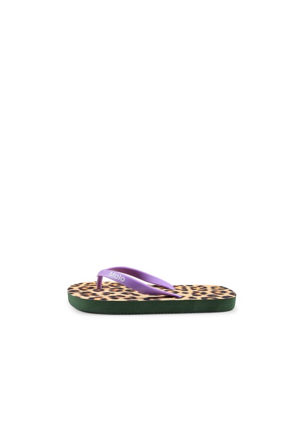 Molo