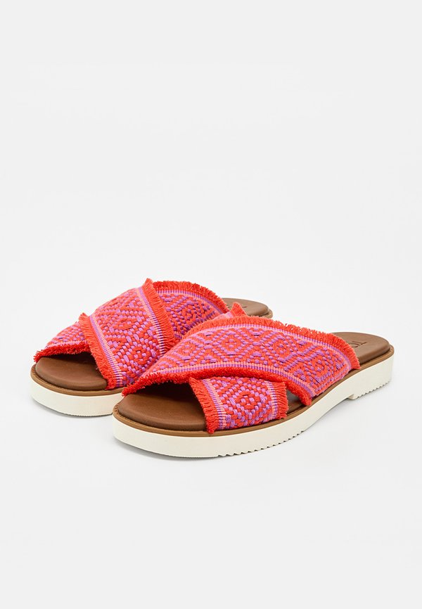 TOMS MAE
