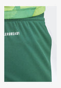 adidas Performance TIRO24 SHORT - Sports shorts - team dark green/white