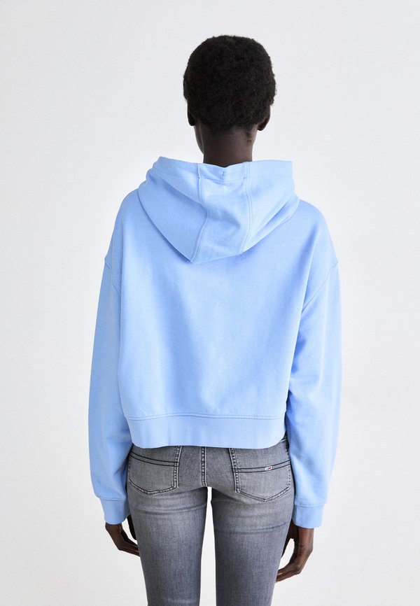 Tommy Jeans SCRIPT HOODIE