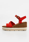TOMS DARYA