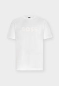 BOSS TE_LOGO