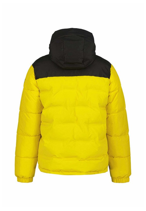 Icepeak AMERI