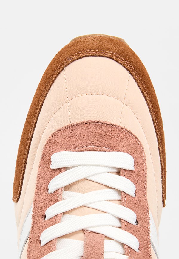 Pollini