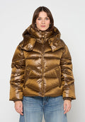 Bogner XALLY