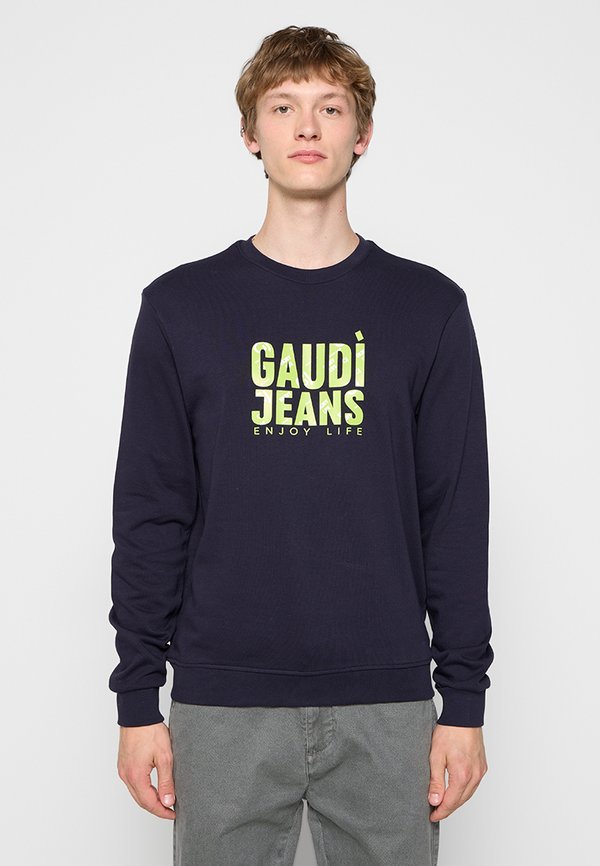 Gaudi