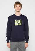 Gaudi