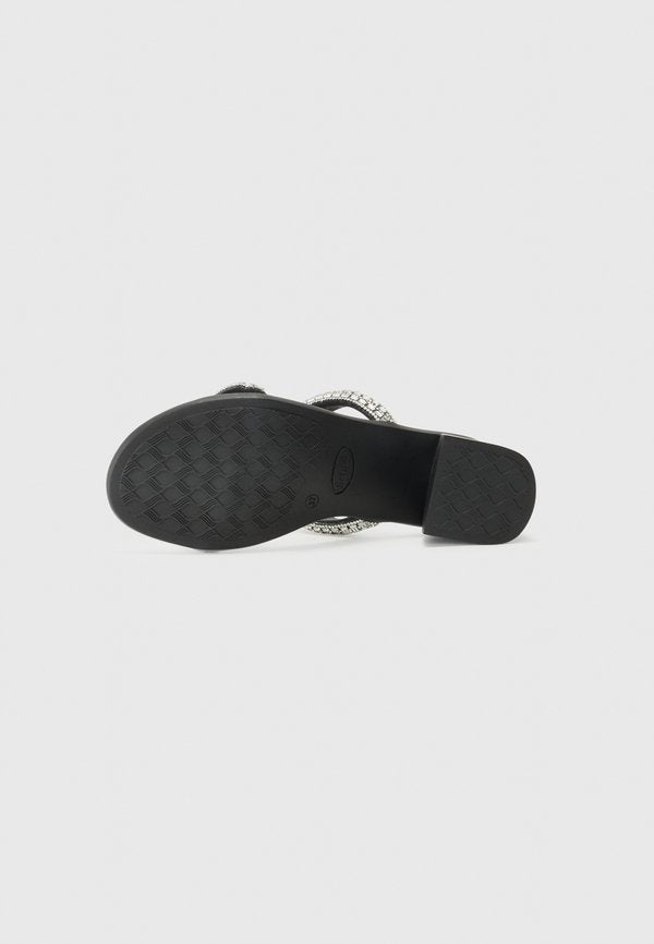 Scholl LOMBARD