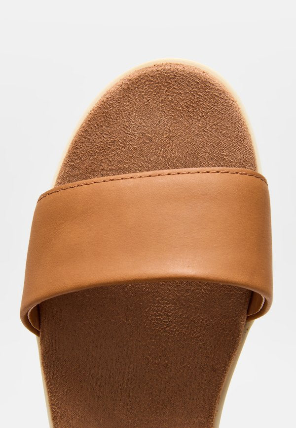 TOMS BRYNN