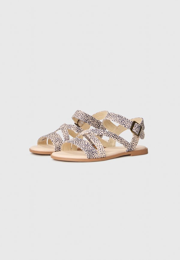 TOMS KACIE