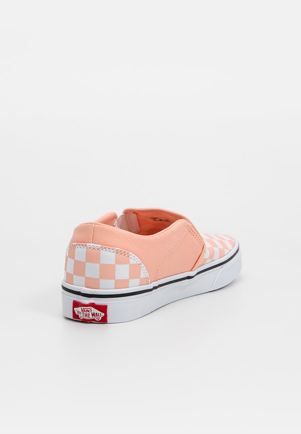 Vans ASHER