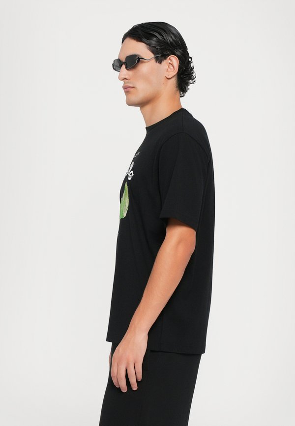 Iceberg