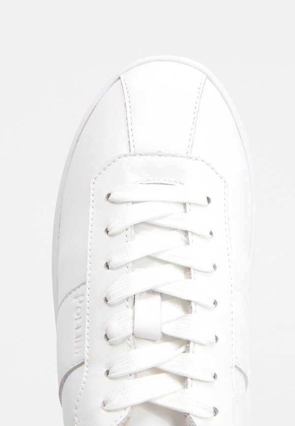 Pollini