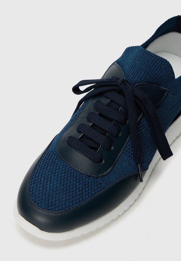 Pollini