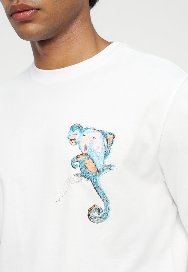 Iceberg
