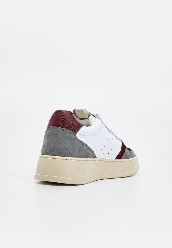 Pollini