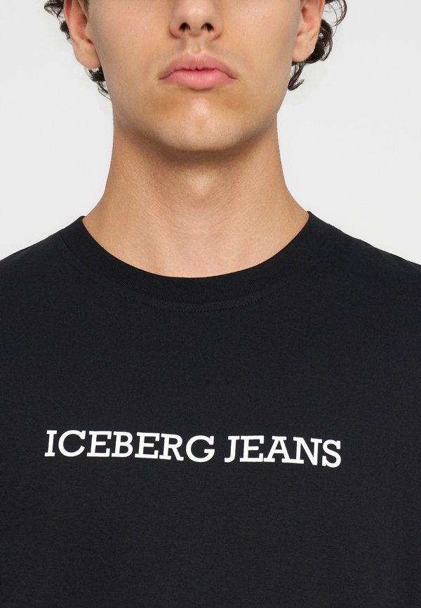Iceberg