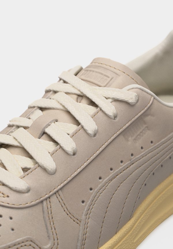 Puma INDOOR UNISEX