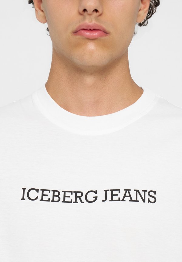 Iceberg