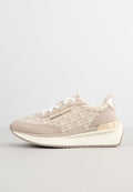 DKNY ASTER ARANAE