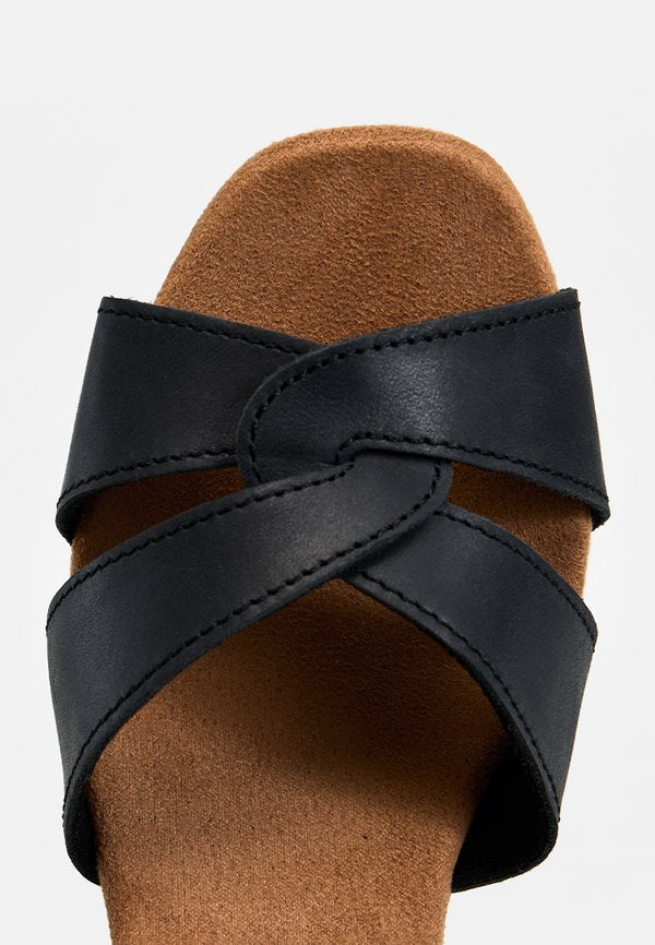 TOMS ISLA