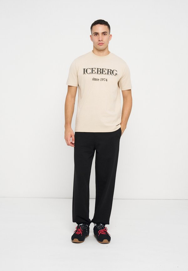 Iceberg