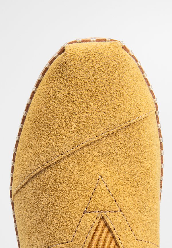TOMS