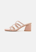 Anna Field by Zalando LEATHER