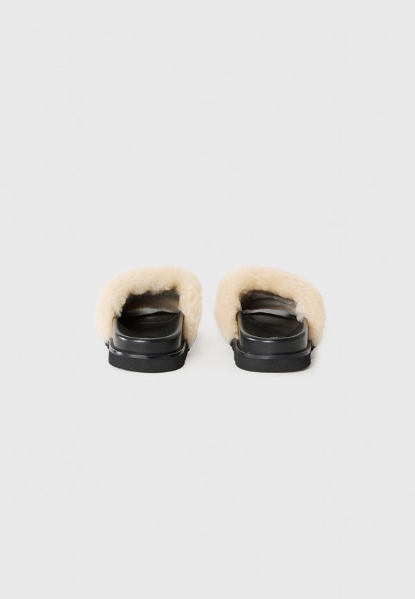 Zadig & Voltaire TEDDY