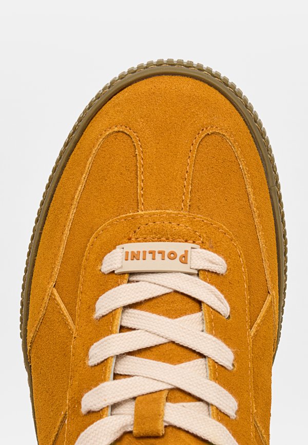 Pollini