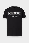 Iceberg