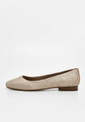 TOMS BRIELLA