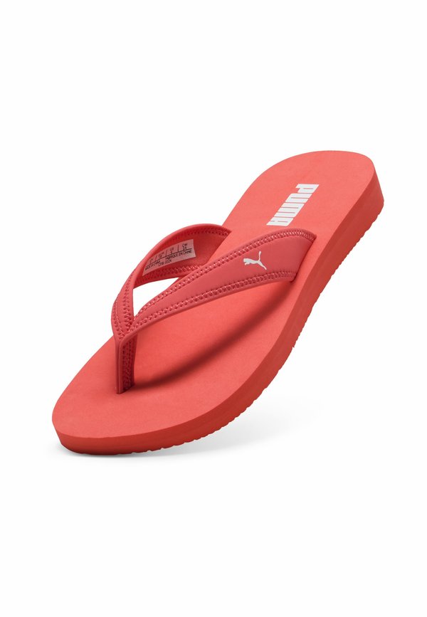 Puma SANDY