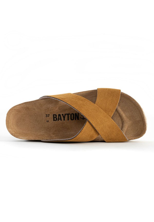 BAYTON PENELOPE