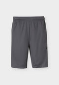 adidas Performance WORKOUT ESSENTIALS BASE 3 STRIPES 9 INCH SHORT - Sports shorts - grey five/black