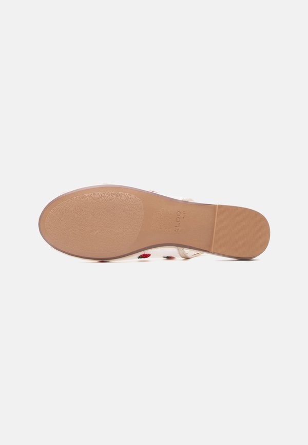 ALDO DROPLET