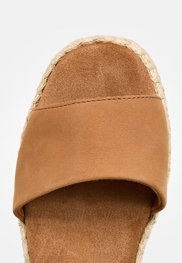 TOMS RONAN