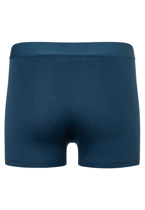 camano 2 PACK