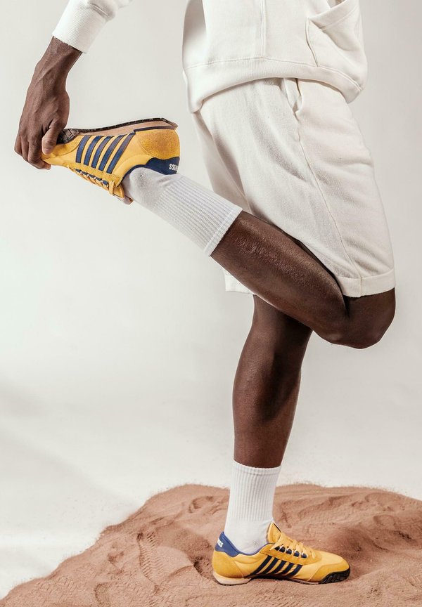 K-SWISS
